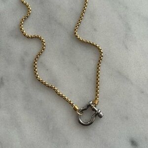 Silver Horse Bit Chunky Charm Clasp Carabiner Necklace

Brand New